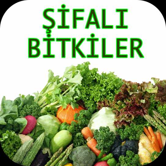 Bayrampaşa Nurs Lokman Hekim, Bayrampaşa Şifalı Bitkiler, Bayrampaşa Aktar